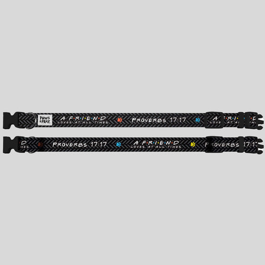 Paws & Pray Friend Proverbs 17:17 Pet Collar
