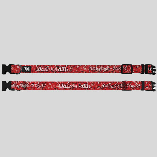 Paws & Pray Pet Collar Walk By Faith