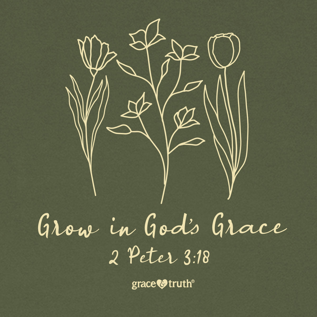 grace & truth Womens T-Shirt Grow In Grace