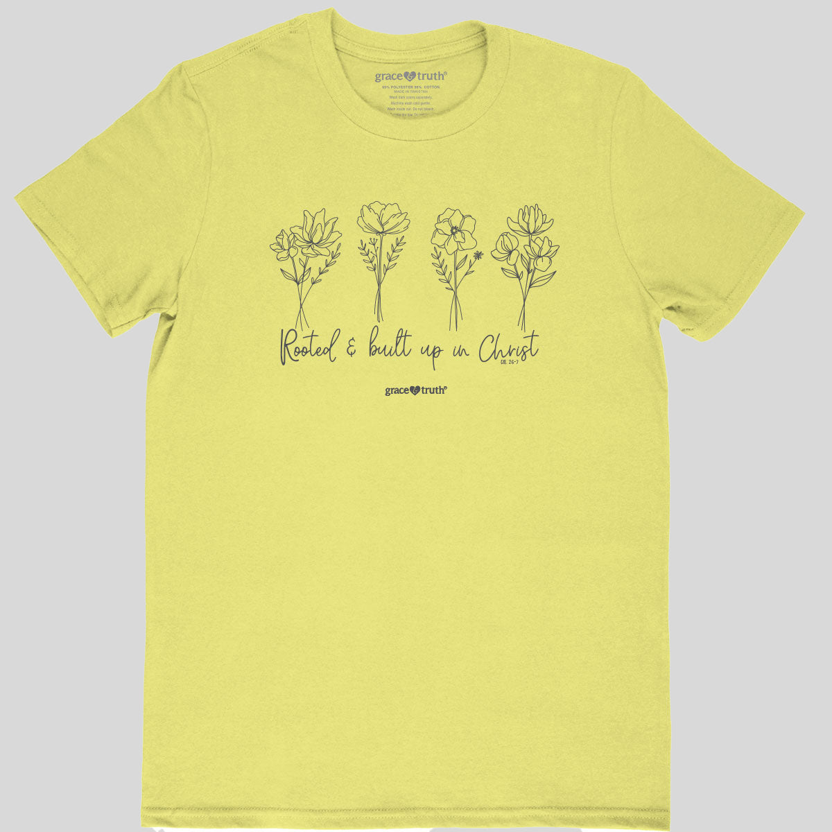 grace & truth Womens T-Shirt Rooted In Christ Main image