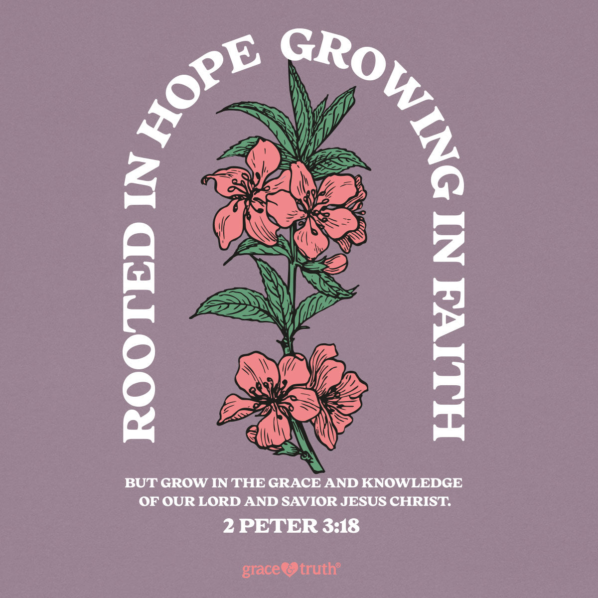 grace & truth Womens T-Shirt Rooted In Hope