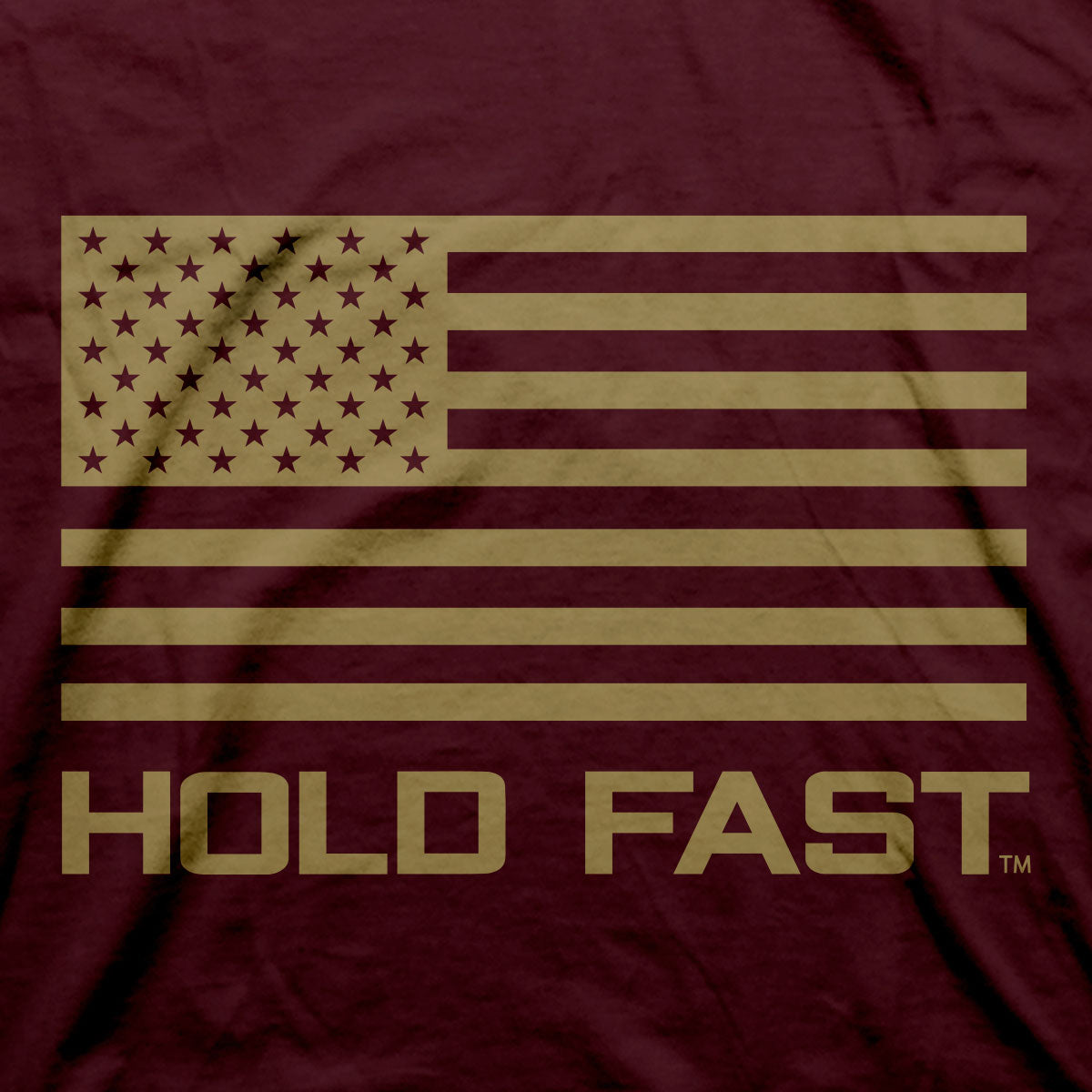 HOLD FAST Mens T-Shirt Spirit Of The Lord