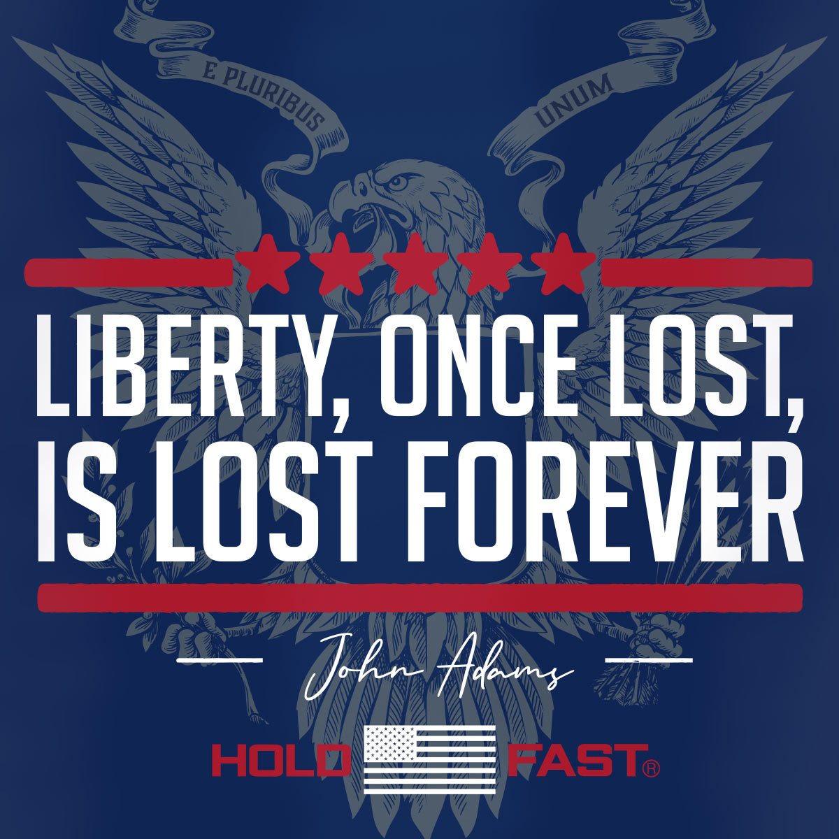 HOLD FAST 20 oz Stainless Steel Tumbler Liberty Secondary image