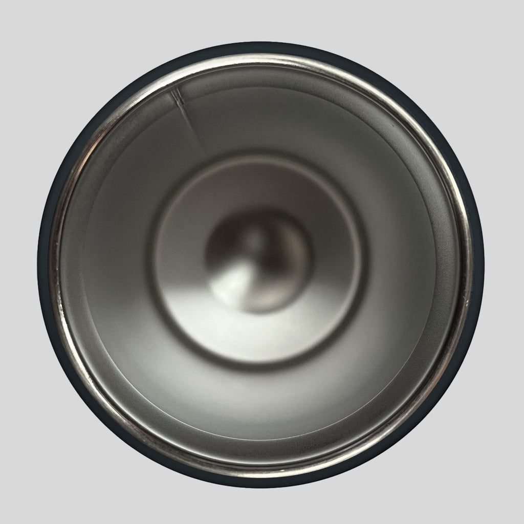 Kerusso 16 oz Stainless Steel Sport Bottle Dino