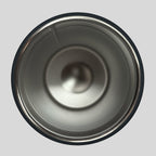 Kerusso 16 oz Stainless Steel Sport Bottle Dino