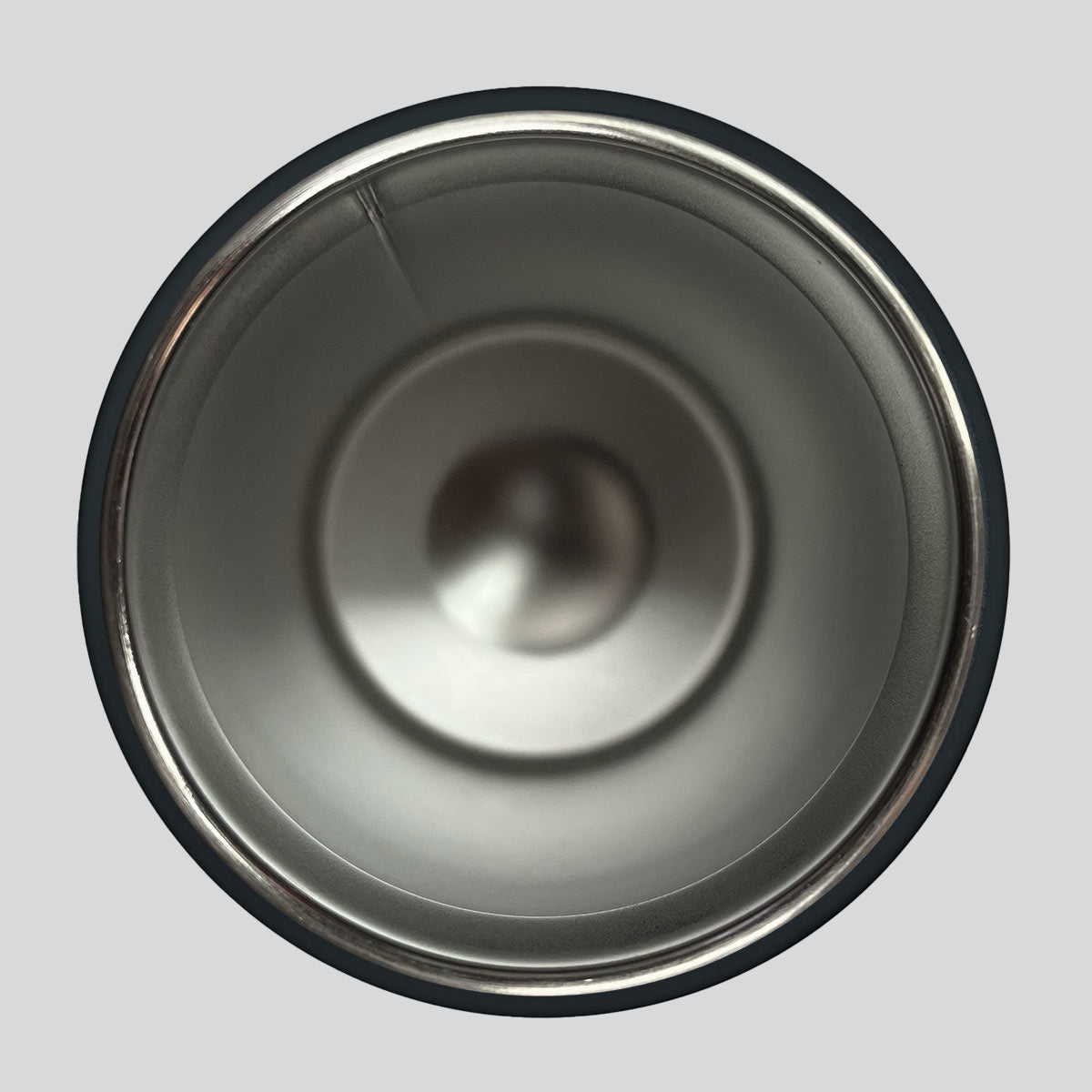 Kerusso 16 oz Stainless Steel Sport Bottle Dino