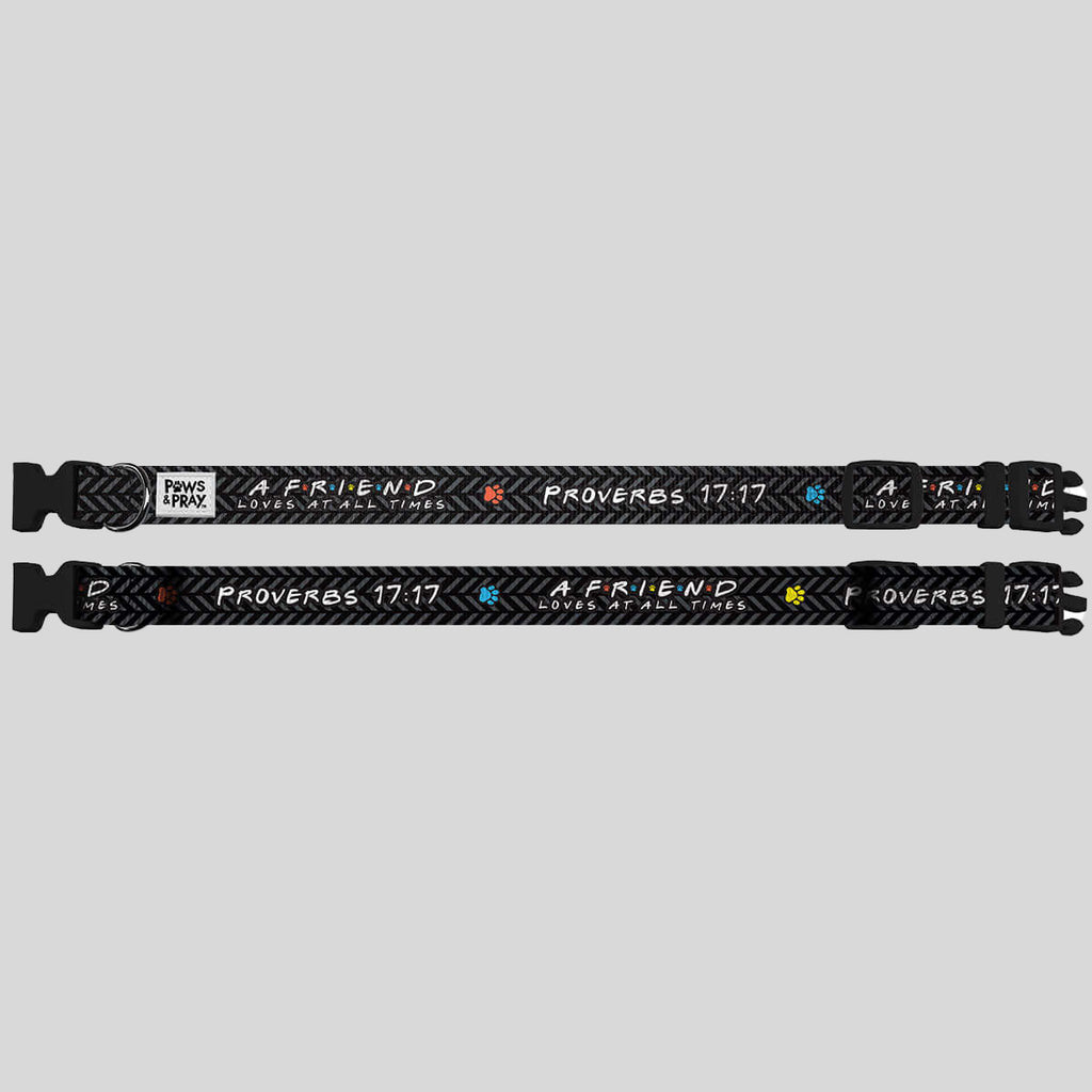 Paws & Pray Friend Proverbs 17:17 Pet Collar