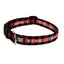 Paws & Pray Be Strong And Courageous Pet Collar