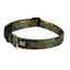 Paws & Pray Pet Collar We Walk By Faith
