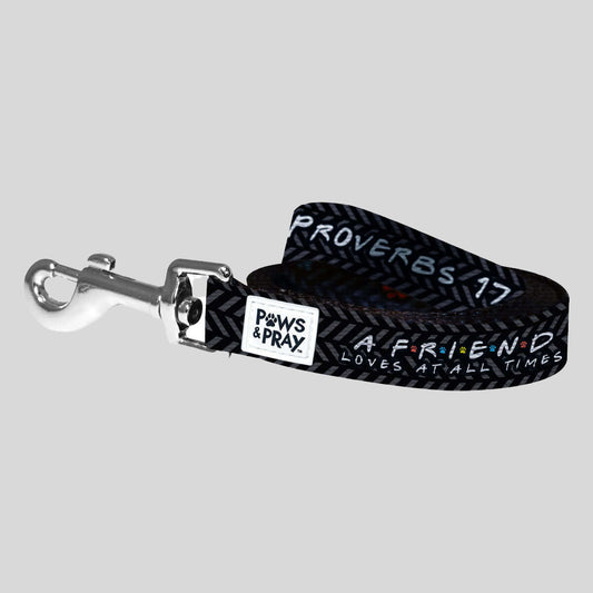 Paws & Pray Friend Proverbs 17:17 Pet Leash