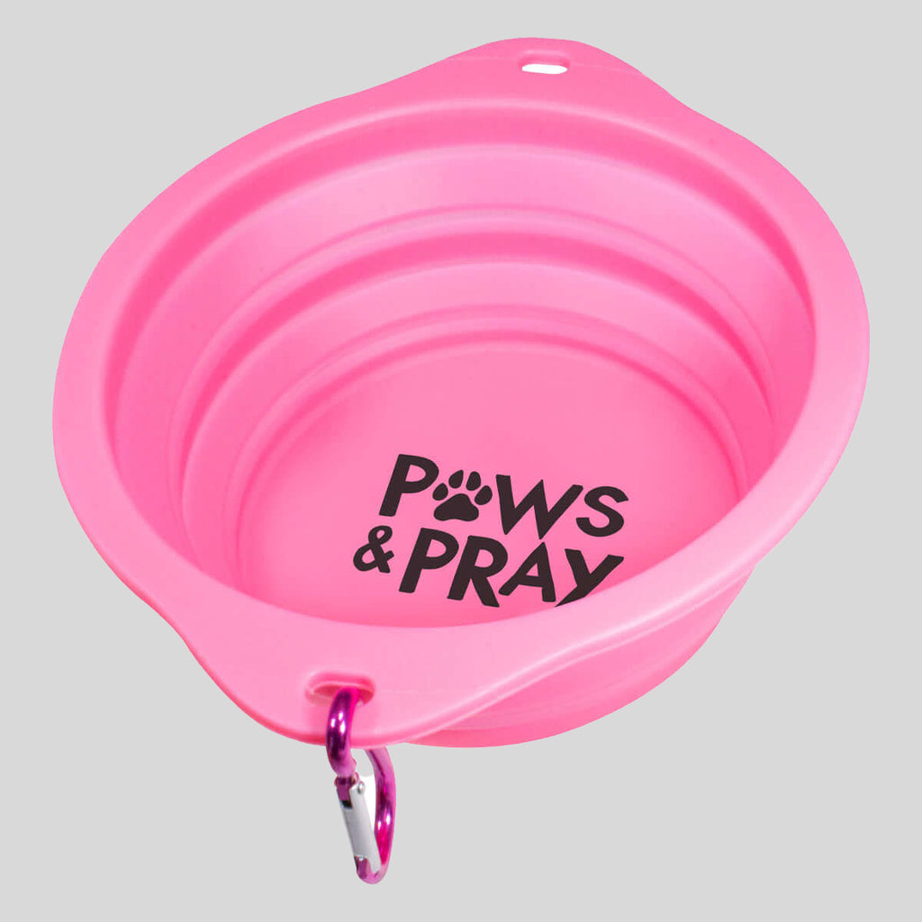 Paws & Pray Pet Collapsible Bowl