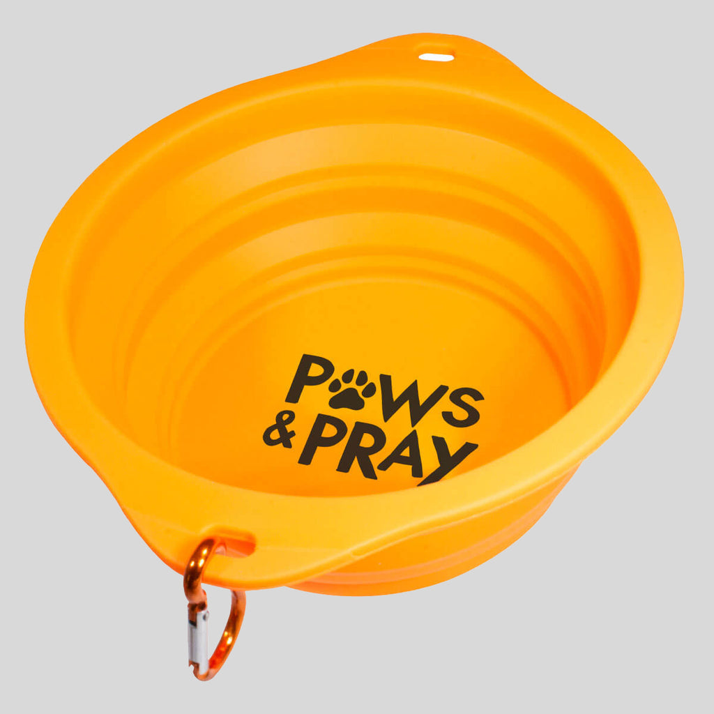 Paws & Pray Pet Collapsible Bowl