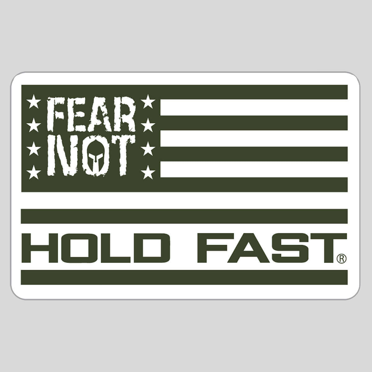 HOLD FAST Fear Not Military Sticker Main image