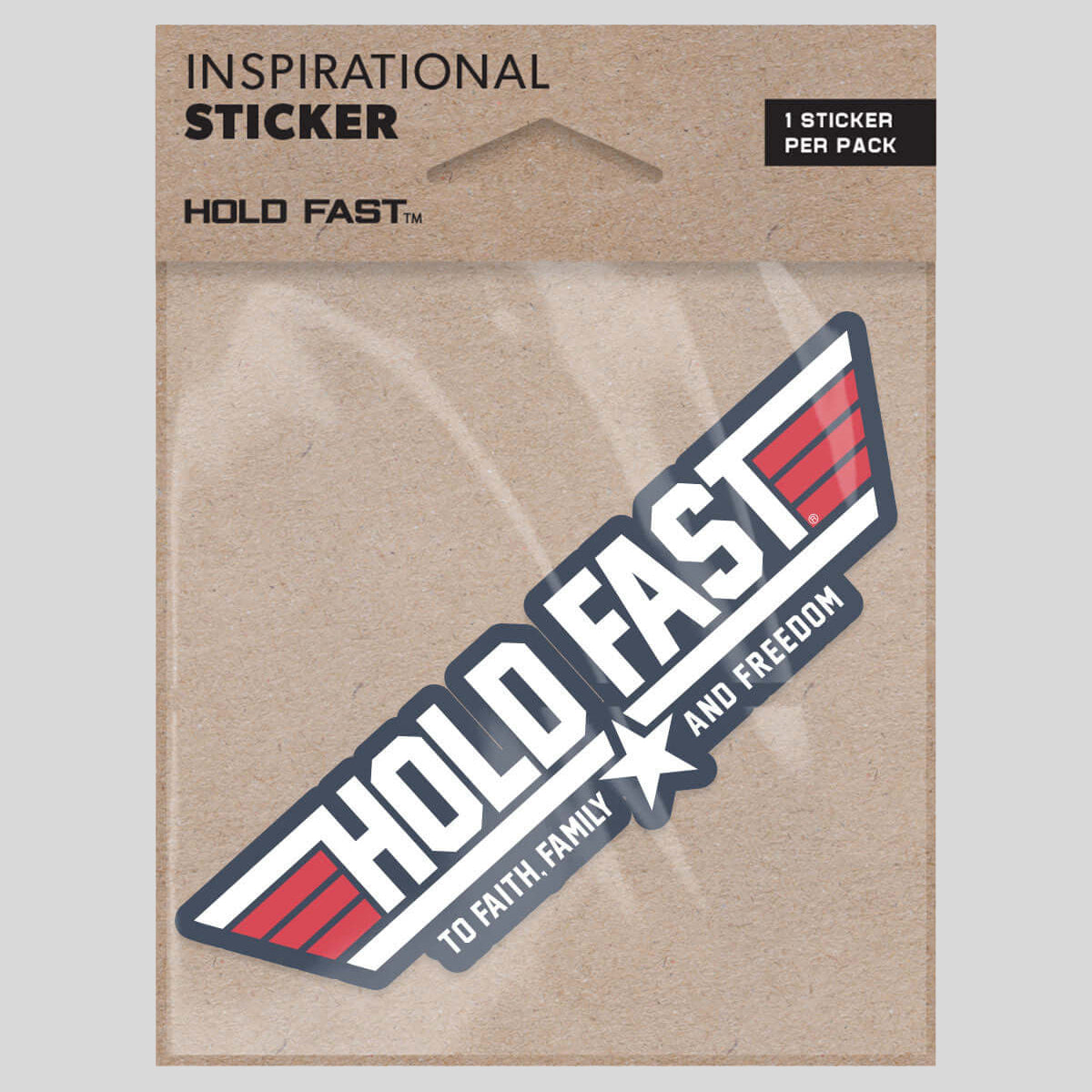 HOLD FAST Sticker Aviation Wings Main image