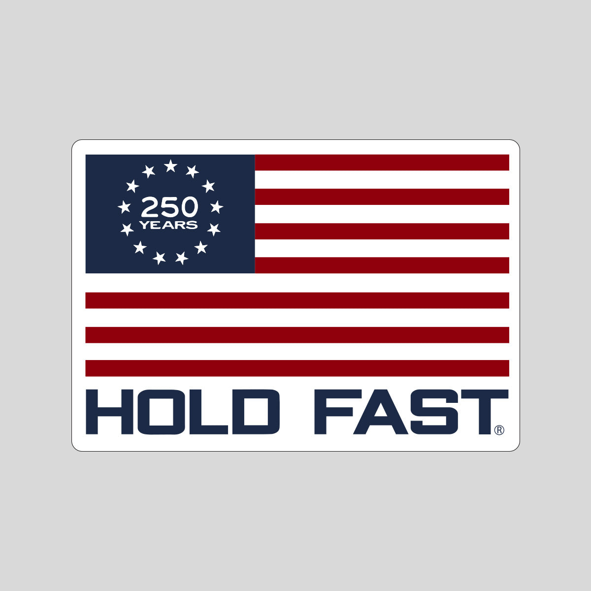 HOLD FAST Sticker 250 Flag Secondary image