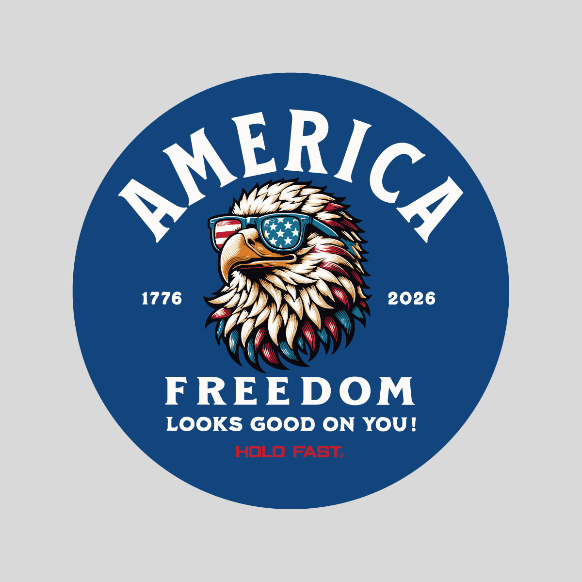 HOLD FAST Sticker America Eagle Secondary image